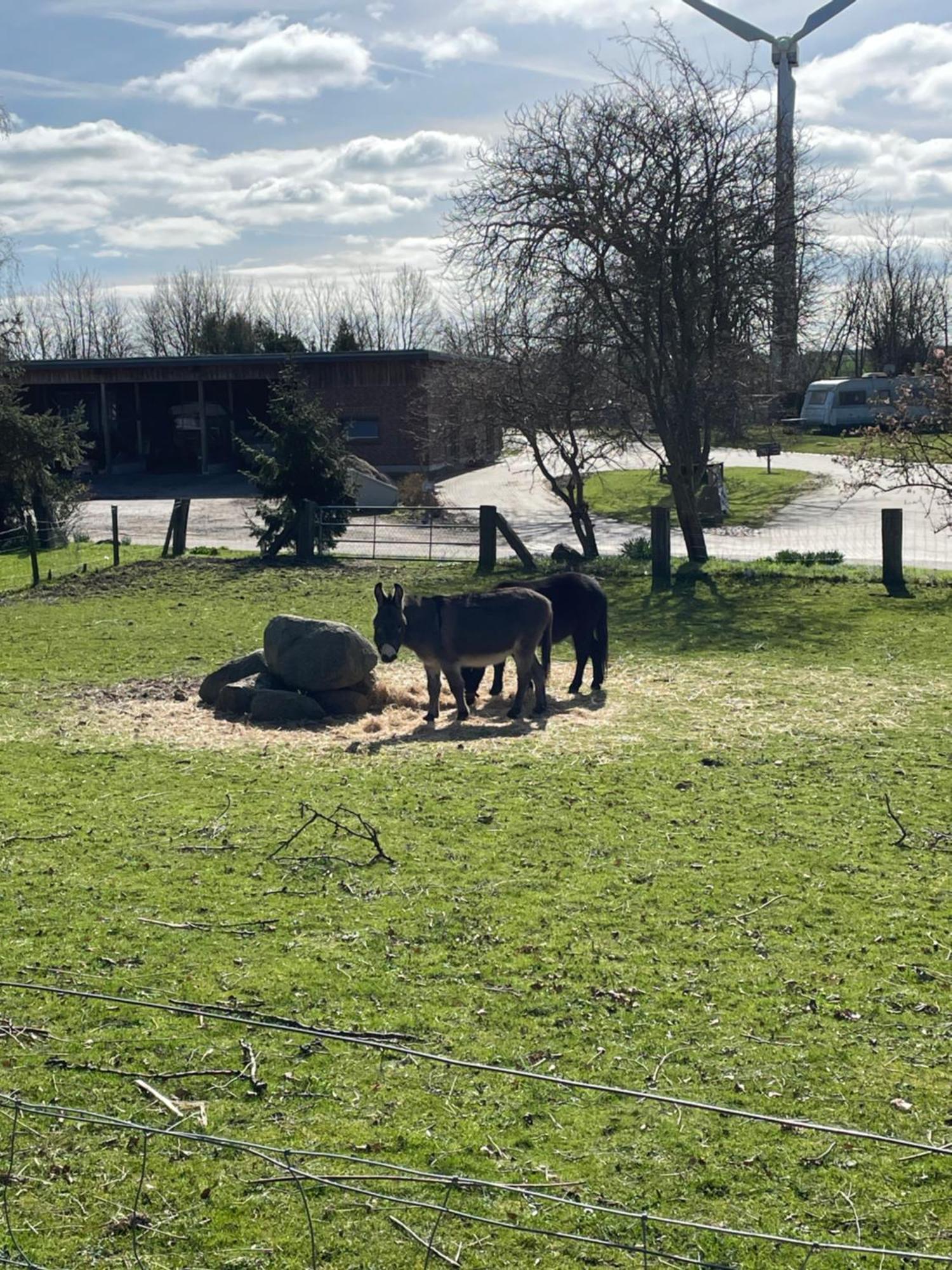 Ferienwohnung Beltblick Fehmarn Exterior foto
