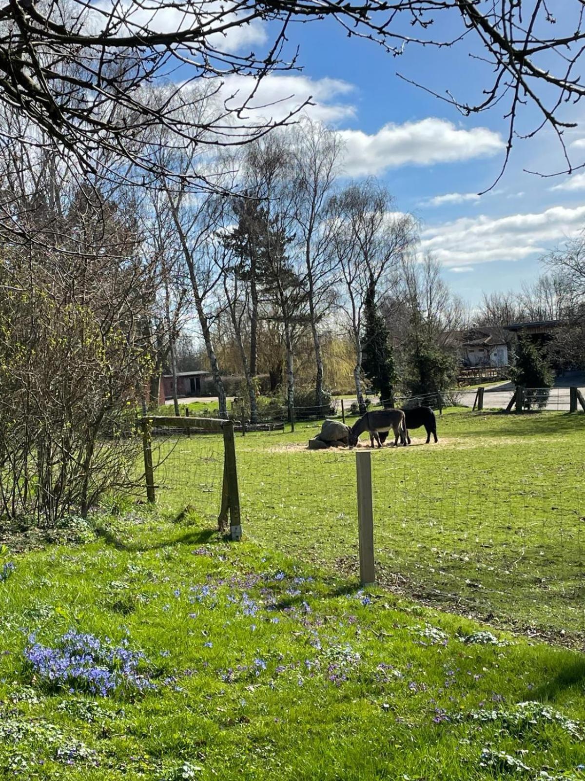 Ferienwohnung Beltblick Fehmarn Exterior foto