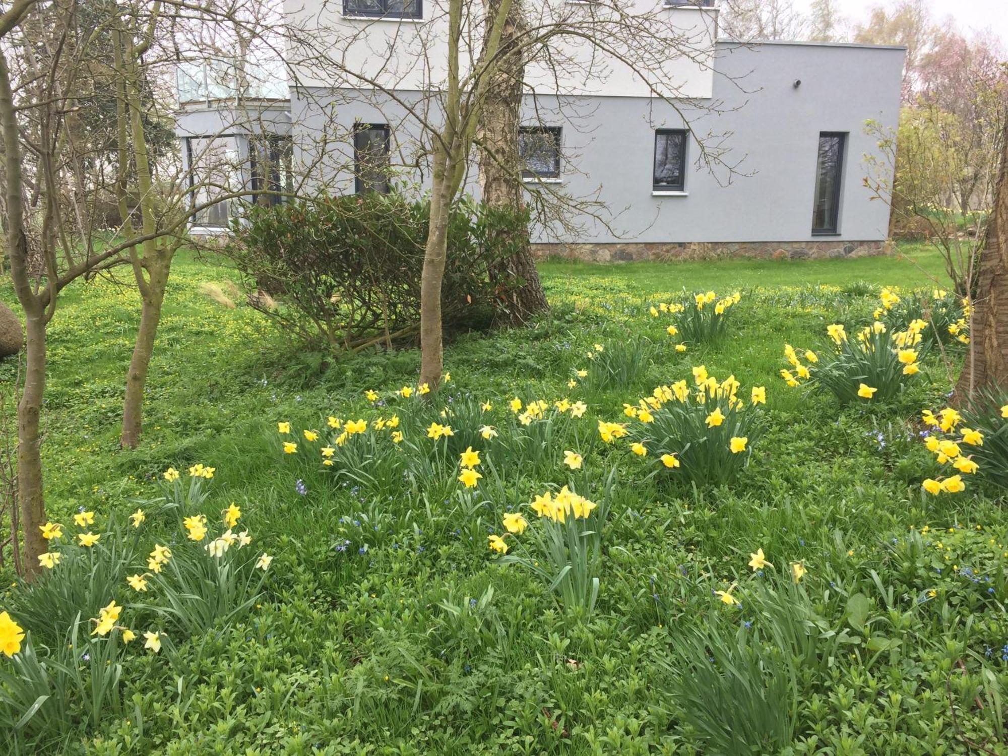 Ferienwohnung Beltblick Fehmarn Exterior foto