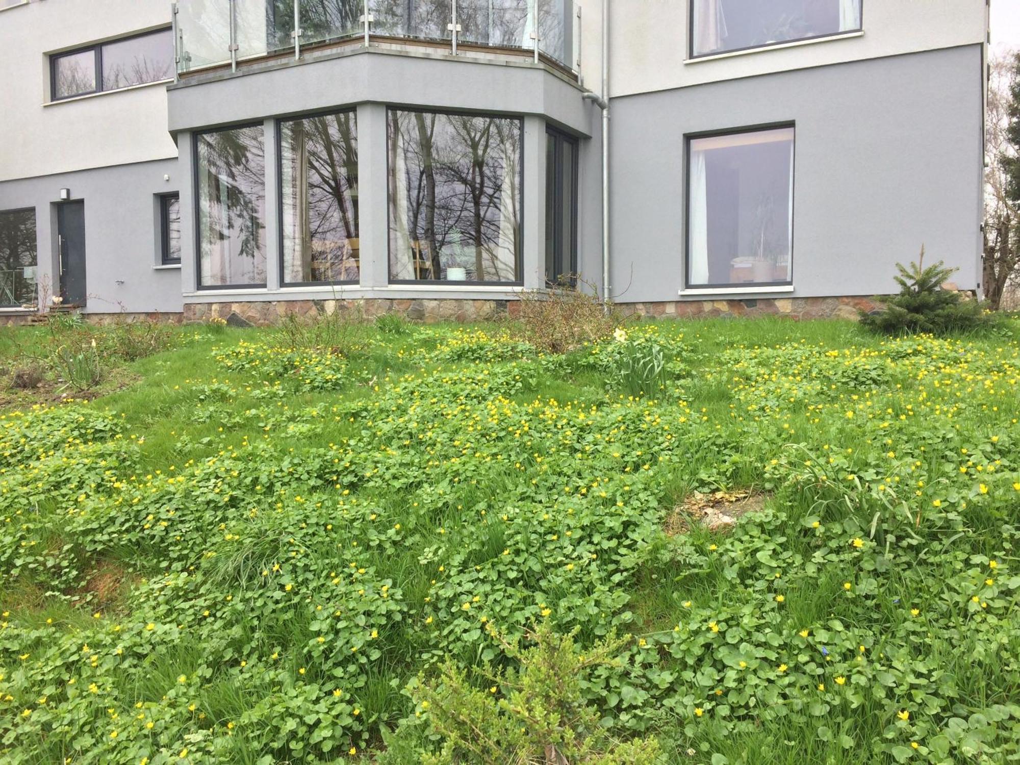 Ferienwohnung Beltblick Fehmarn Exterior foto