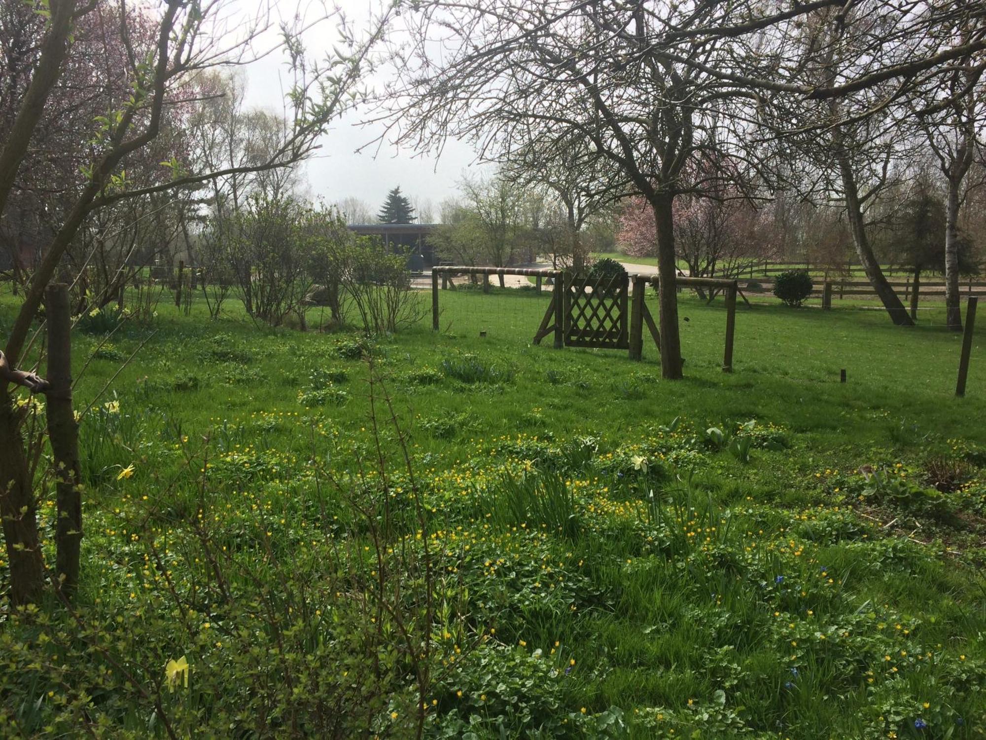 Ferienwohnung Beltblick Fehmarn Exterior foto